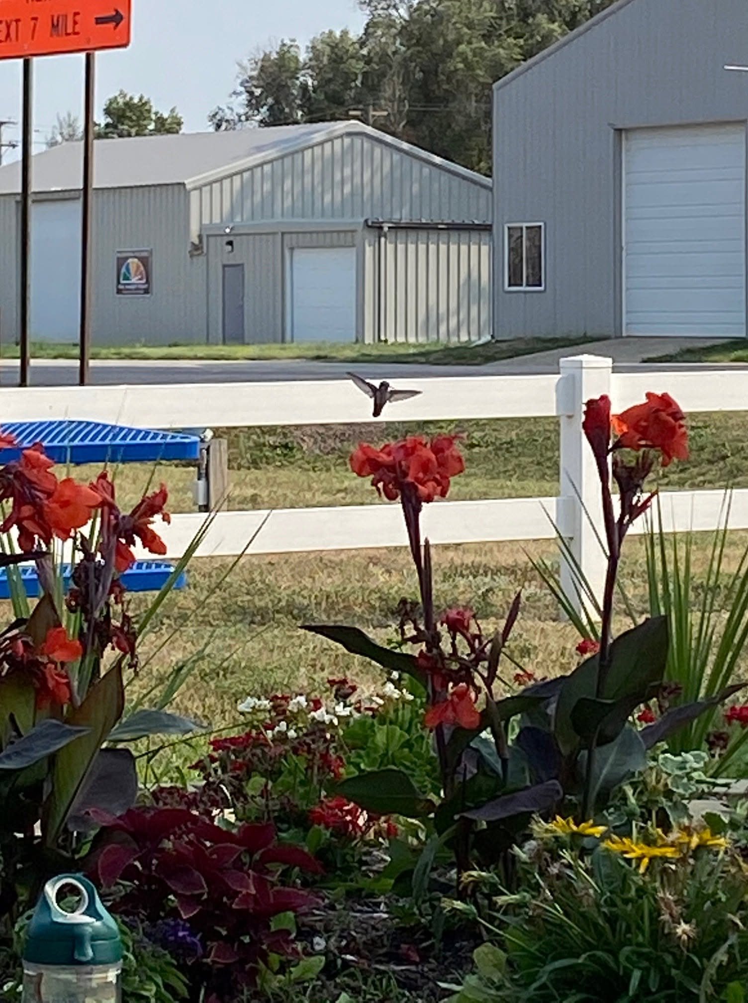 Flowers and picnic tables at the Dodge park in spring